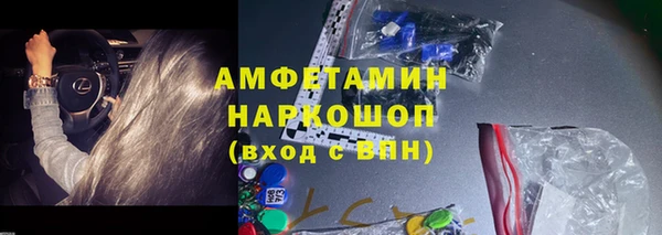 трава Няндома