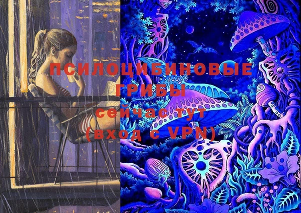 трава Няндома