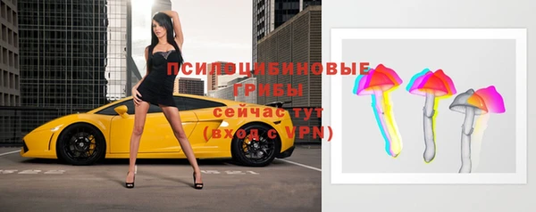мдпв Новодвинск