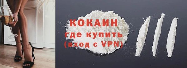 трава Няндома