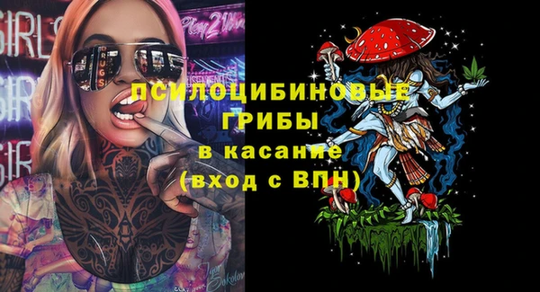 мдпв Новодвинск
