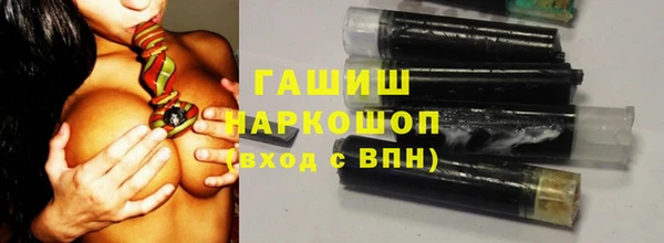 стафф Новозыбков