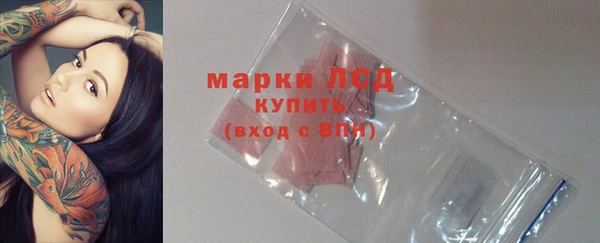стафф Новозыбков