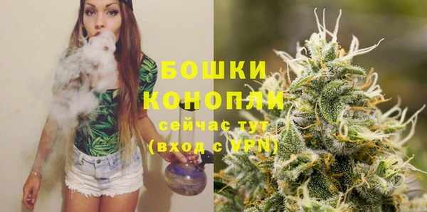 трава Няндома