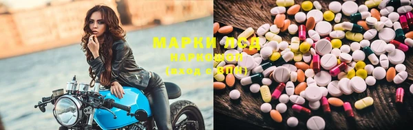 стафф Новозыбков
