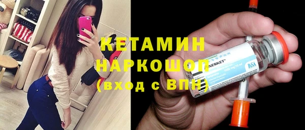 трава Няндома